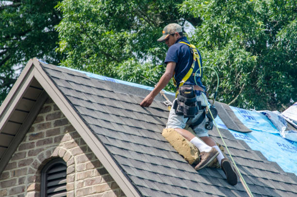 Best Residential Roofing Contractor  in Huntertown, IN